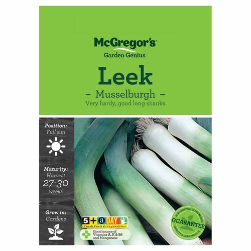 Musselburgh Leek Seeds - McGregor's