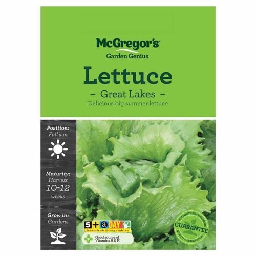 Great Lakes Lettuce Seeds - McGregor's