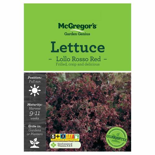 Lollo Rosso Red Lettuce Seeds - McGregor's