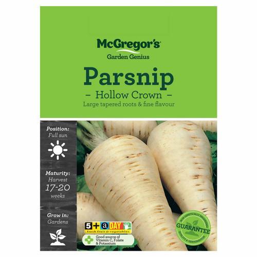 Hollow Crown Parsnip Seeds - McGregor's