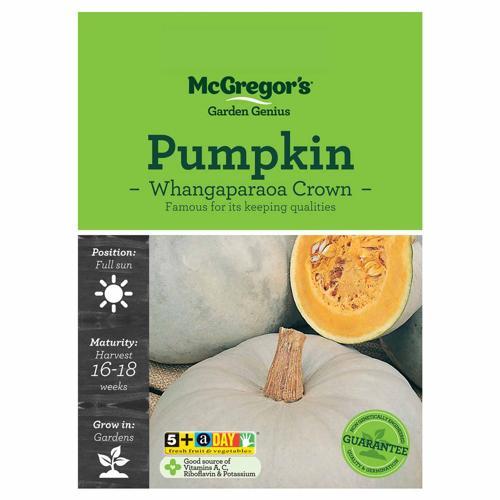 Whangaparaoa Crown Pumpkin Seeds - McGregor's