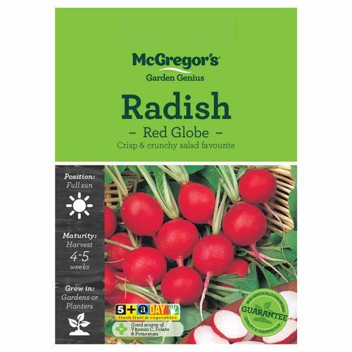 Red Globe Radish Seeds - McGregor's