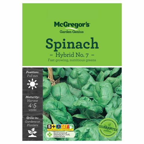 Hybrid #7 Spinach Seeds - McGregor's
