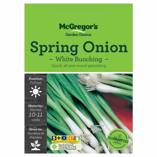 Spring Onion White Bunching Vegetable Seeds - McGregor's
