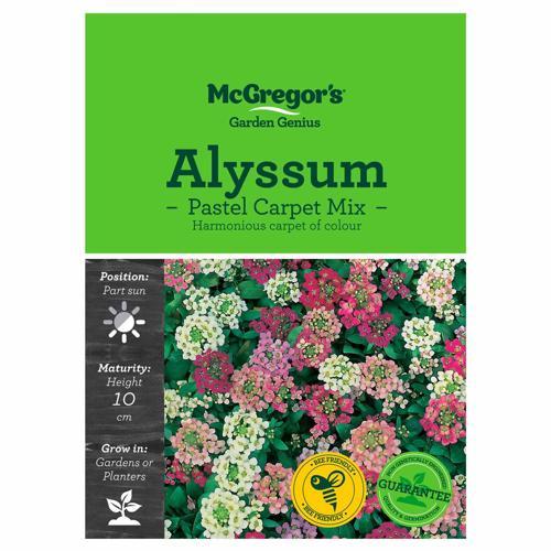 Carpet Mix Alyssum Seeds - McGregor's