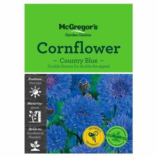 Country Blue Cornflower Seeds - McGregor's