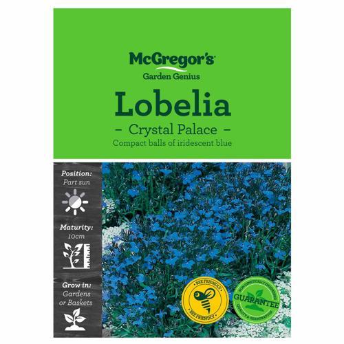 Crystal Palace Lobelia Seeds - McGregor's