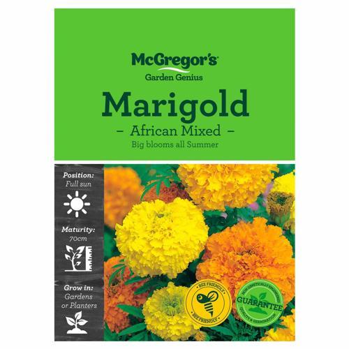 African Mixed Marigold Seeds - McGregor's