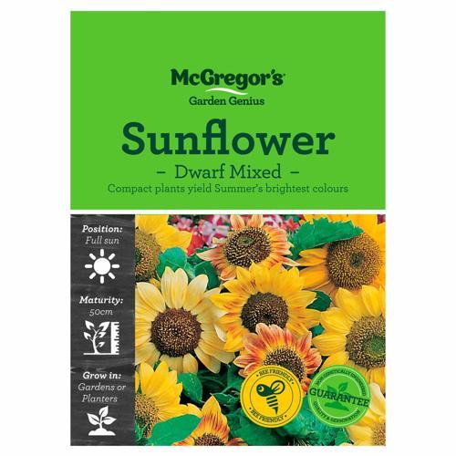 Dwarf Mixed Sunflower Seeds - McGregor's