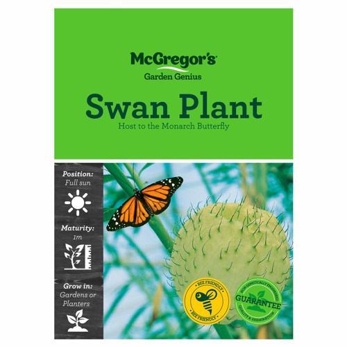Swan Plant Seeds - McGregor's