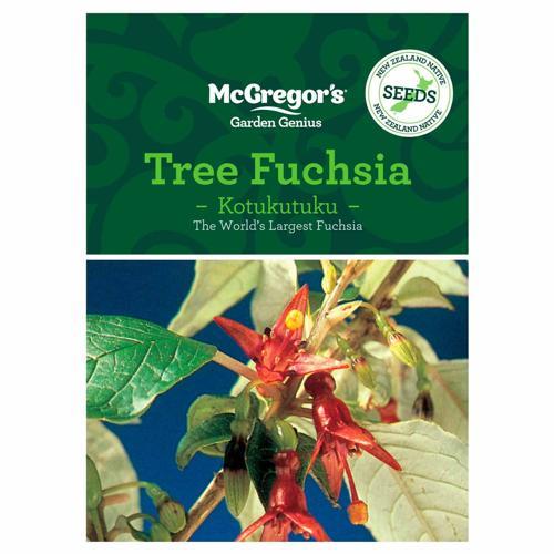 Tree Fuchsia NZ Native Seed - McGregor's