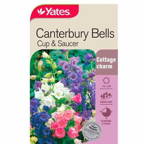 Canterbury Bells Cup & Saucer Seeds - Yates