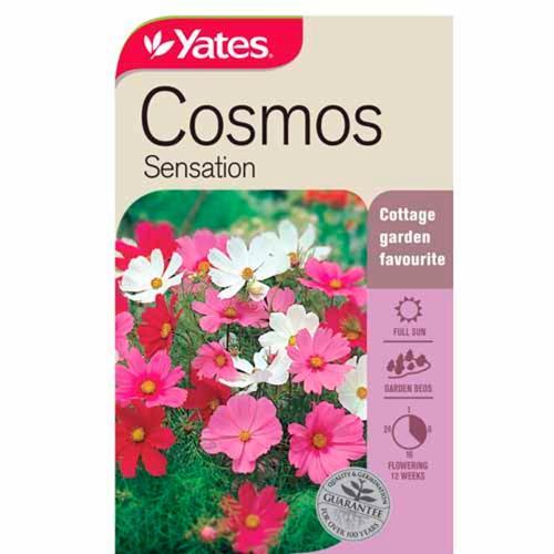 Cosmos Sensation Seeds - Yates