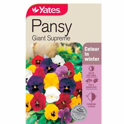 Pansy Giant Supreme Seeds - Yates