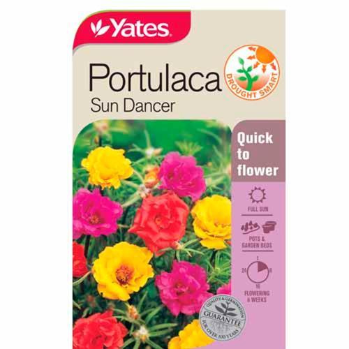 Portulaca 'Sun Dancer' Seeds - Yates