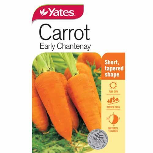 Carrot 'Early Chantenay' Seeds - Yates