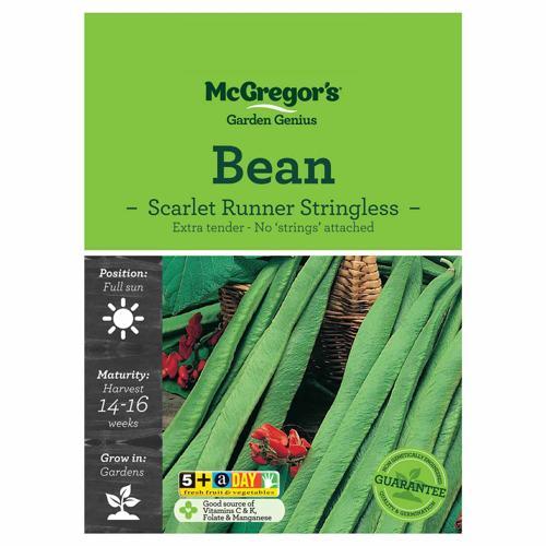 Scarlet Runner Stringless Bean Seeds - McGregor's