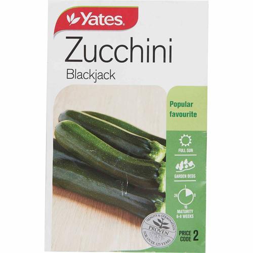 Zucchini Blackjack Seeds - Yates