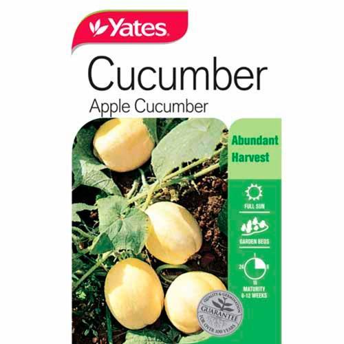 Cucumber 'Apple' Seeds - Yates