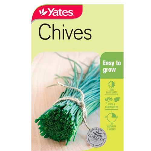 Chives Seeds - Yates