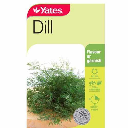Dill Herb Seeds - Yates