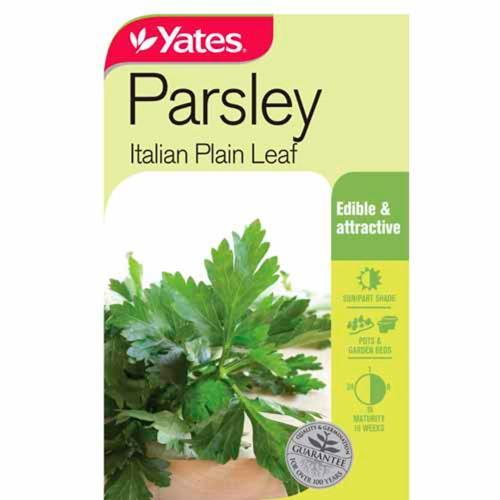 Parsley Italian Plain Leaf Seeds - Yates