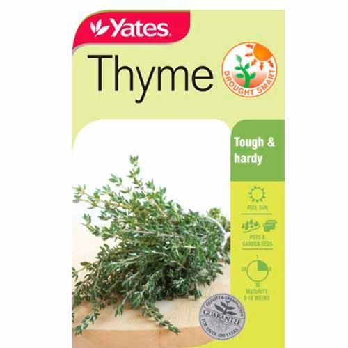 Thyme Herb Seeds - Yates
