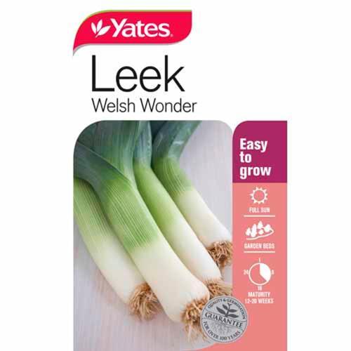 Leek 'Welsh Wonder' Seeds - Yates