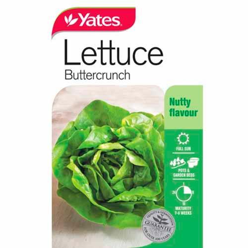 Lettuce 'Buttercrunch' Seeds - Yates