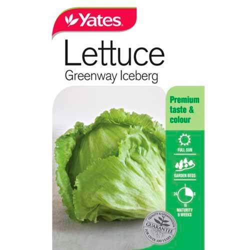 Lettuce 'Greenway' Seeds - Yates