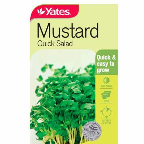 Mustard Quick Salad Seeds - Yates