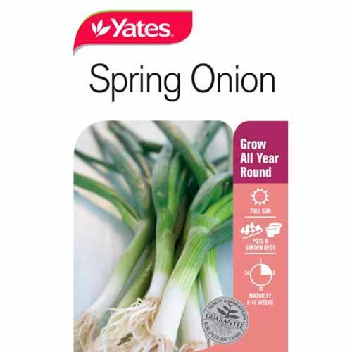 Spring Onion Seeds - Yates