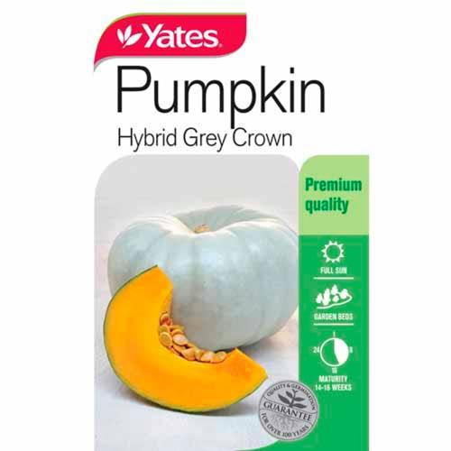 Pumpkin 'Hybrid Grey Crown' Seeds - Yates