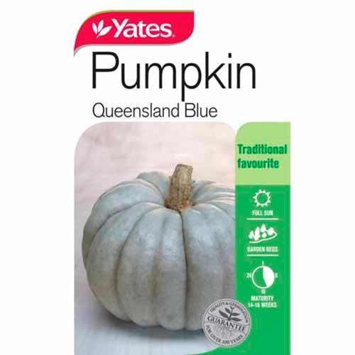 Pumpkin 'Queensland Blue' Seeds - Yates