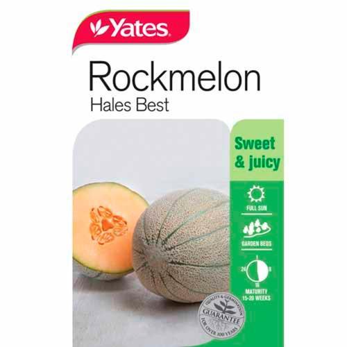 Rock Melon 'Hales Best' Seeds - Yates