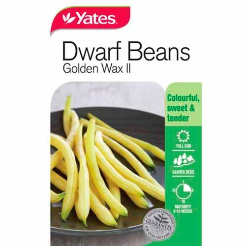 Beans Golden Wax Dwarf Variety Seeds - Yates