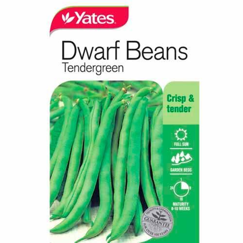 Beans Tendergreen Dwarf Variety Seeds - Yates