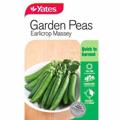 Peas Earlicrop Massey Seeds - Yates