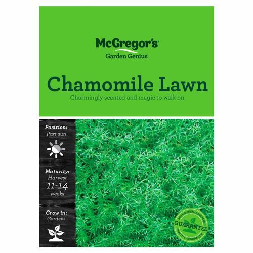 Chamomile Lawn Seeds - McGregor's
