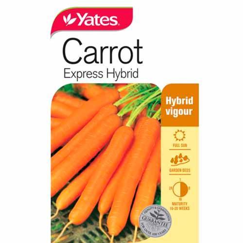 Carrot 'Express' Hybrid Seeds - Yates