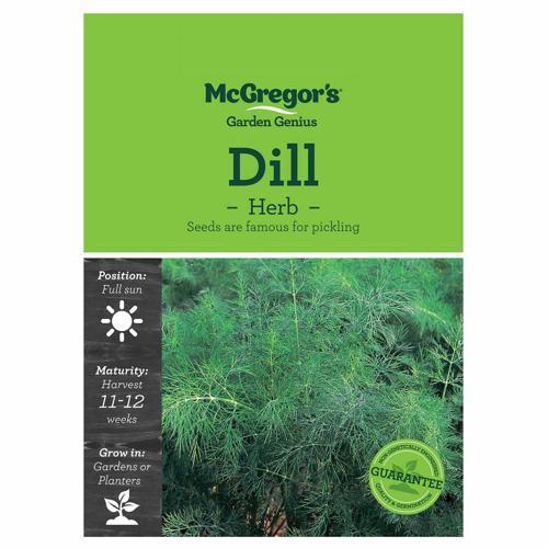 Dill Seeds - McGregor's