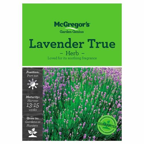 Lavender True Seeds - McGregor's