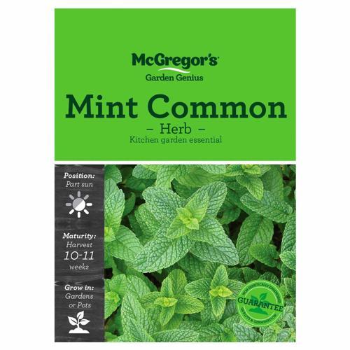 Common Mint Seeds - McGregor's