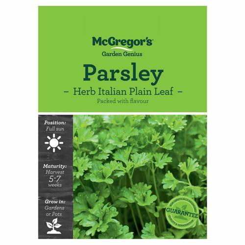 Italian Plain Leaf Parsley Seeds - McGregor's