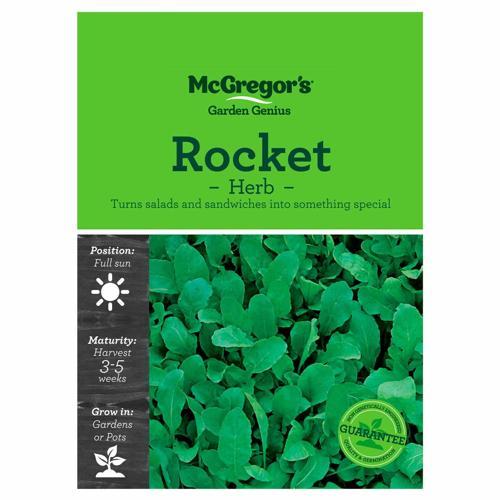 Rocket Seeds - McGregor's