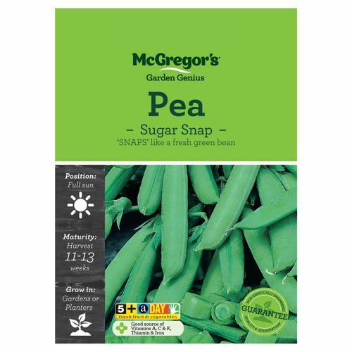 Sugar Snap Pea Seeds - McGregor's