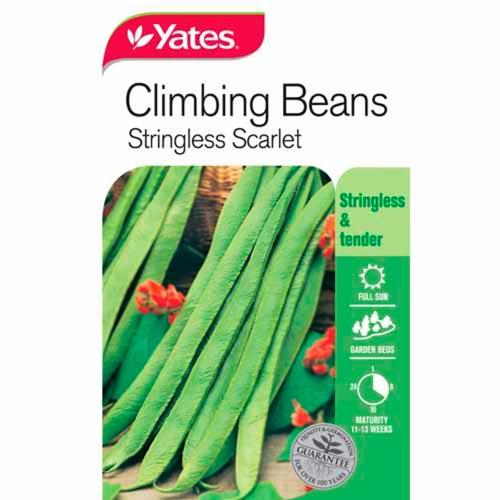 Beans String Less Scarlet Climbing Seeds - Yates