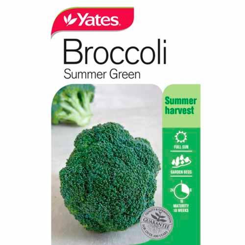 Broccoli Summer Green Seeds - Yates