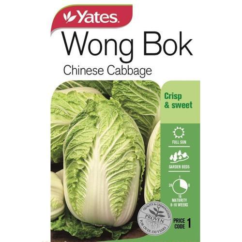 Cabbage Chinese Wong Bok Seeds - Yates