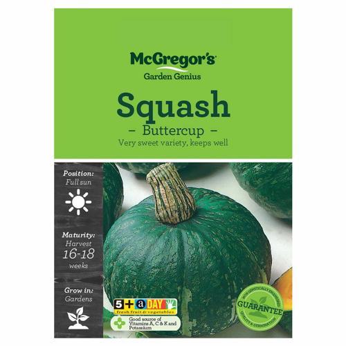Buttercup Squash Seeds - McGregor's